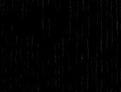 MCX20 Azuolas